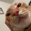 jaydenmireles96 - @jayden_to_cra - TikTok