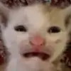 Jayden moores - @jayden.moores4 - TikTok