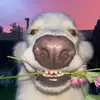 Jayden Morales - @jayden.morales23 - TikTok