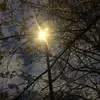 jaydenmueller - @jaydenmueller - TikTok