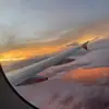 Jayden - @jayden.murray13 - TikTok