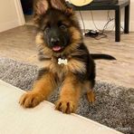 Jayden Ortiz - Facebook