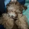 Jayden Ortiz - @jayden.ortiz13 - TikTok