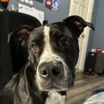 Martin Jayden Ortiz - @jaydenortizzz - Instagram