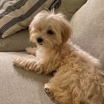 Jayden Patrick - Facebook