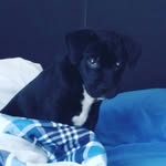 Jayden Patton - @jaydenpattoon - Instagram