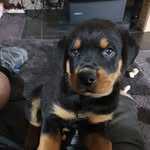 Jayden Paul - @_jaydenpaul_ - Instagram