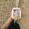 jaydenphelps59 - @1xloo - TikTok
