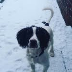 jayden potter - @jaydenpotter85 - Instagram