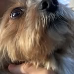 Jayden Proctor - @getyeetedcat - Instagram