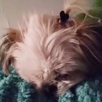 Jayden Pugh - Facebook
