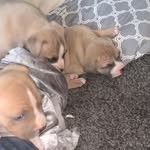 Jayden Pugh - @leahpugh838 - Instagram