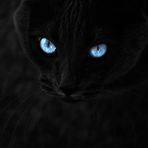 Jayden Rollins - Facebook