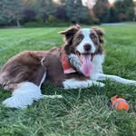 Jayden Ruby - @jaydenruby26 - Instagram