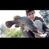 jaydensawyer395 - @jaydensawyer395 - TikTok