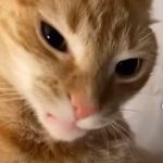 Jayden Schmidt - @jaydenschmidt22 - Instagram