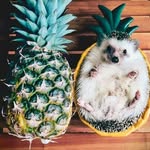Jayden Schultz - @jay_emily06 - Instagram