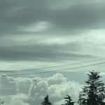 Jayden Shelton - @jaydenshelton__ - Instagram