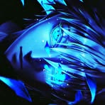Jayden Shelton - Facebook