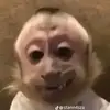 Jayden Shelton ✝️ - @jayden.shelton_ - TikTok