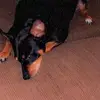 Jayden Shelton - @jayden.shelton11 - TikTok