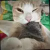 Jayden Silva - @jks.lucero - TikTok