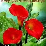 Jayden Singh - Facebook