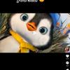 Jayden Singh - @jaydensingh06 - TikTok