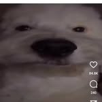 Jayden - @_jaydentanner31_ - Instagram