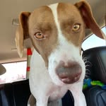 Jaden Teal - @jaden.teal - Instagram