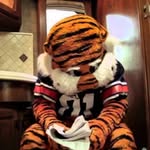 Jayden Thornton - @jaydenthornton59 - Instagram