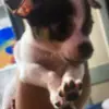 Jayden Trevino - @user358053869 - TikTok
