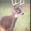 jaydentucker5 - @jaydentucker5 - TikTok