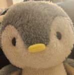 Jayden Vang - Facebook