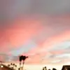 Follow_if_your_not_gay - @jaydenvargas7275 - TikTok