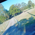 Jayden Wallace - @jayden.wallace.165 - Instagram