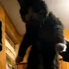 jayden weaver - @jaydenfromclassprobably - TikTok