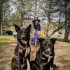 Jayden York8767 - @yorknninjadogs - TikTok