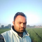 Jaydip Bhatt Palival - @jaydippalival - Instagram