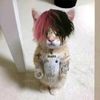 Jaydon Green - @jaydon.green0 - TikTok