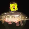 Jaydonharvey12 - @jaydonharvey12 - TikTok