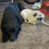 Jaydon Martinez - @duh.itz.jaydon - TikTok