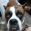 jayden sims - @jaydensims123 - TikTok