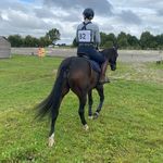 Jaye Sophie Bradley - @jsbequestrian_ - Instagram