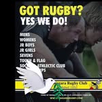 Jay Peterson - @jaypeterson08 - Instagram