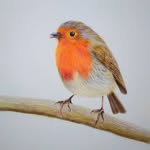 Jaye Thompson - @jaye.t.artstudio - Instagram