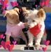 Jaye Wills - Facebook