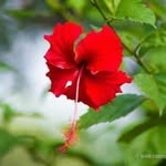 Jayesh Kashyap - @jayesh_kashyap_3026 - Instagram