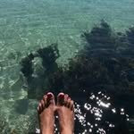 Jeanette Robb - @jeanetterobb - Instagram