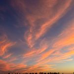 Jayla Harris-hinch - @jaylaharrishinch - Instagram